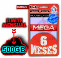Mega Premium, 6 meses (500gb/mes)