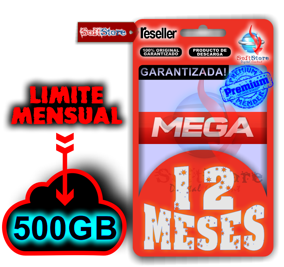 Mega Premium, 12 meses (500gb/mes)